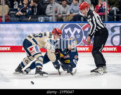 Monaco, Germania. 26 novembre 2024. Linesperson Lukas Pfriem fuehrt ein bully/Faceoff aus zwischen Tylor Spink (Schwenninger Wild Wings, n. 90) e Patrick Hager (EHC Red Bull Muenchen, n. 52). GER, EHC Red Bull Muenchen vs. Schwenninger Wild Wings, Eishockey, DEL, 20. Spieltag, Saison 2024/2025, 26.11.2024. Foto: Eibner-Pressefoto/Heike Feiner credito: dpa/Alamy Live News Foto Stock