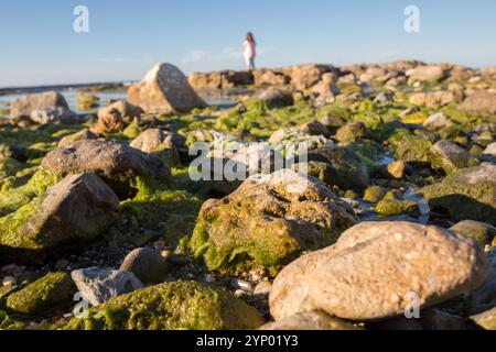 Vista bassa di una spiaggia con rocce. mare calmo, muschio e alghe sulle pietre. Una figura di donna sfocata nel retroscena. Foto Stock