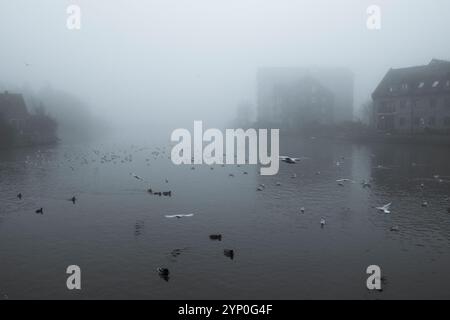 Nebbia sul Great River Ouse a St Ives, Cambs Foto Stock