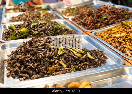 Insetti fritti vermi da pasto per snack. Le cavallette fritte sono insetti alimentari. Spuntini thailandesi popolari nei cibi di strada Foto Stock