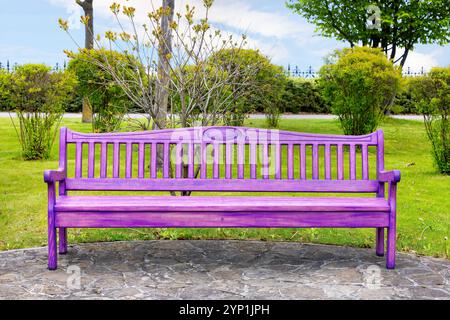Vibrante panchina viola che riposa pacificamente in un parco lussureggiante sotto un cielo limpido Foto Stock
