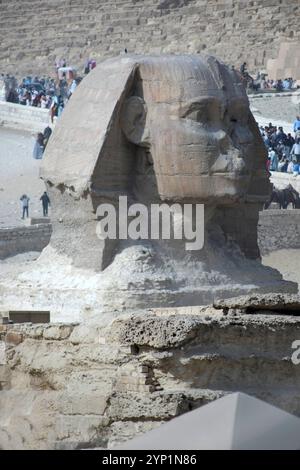 Kairo Ägypten, 20241124, Pyramiden, Giza, Gizeh, Grabanlagen, mit Sphinx *** Cairo Egitto, 20241124, piramidi, Giza, Giza, tombe, con la Sfinge Foto Stock