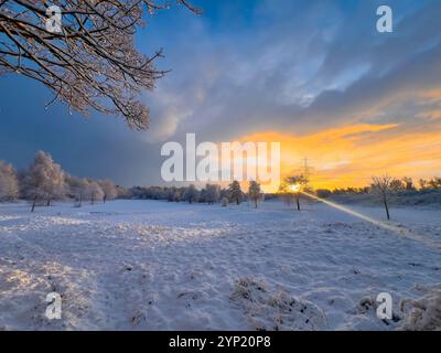 Un'accattivante alba invernale illumina i campi innevati, con una spettacolare luce del sole che attraversa gli alberi carichi di gelo. Il vivace cielo dorato c Foto Stock