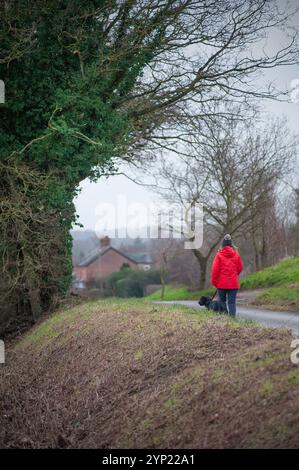 donna solitaria con il cane da passeggio ellingham, norfolk, inghilterra Foto Stock