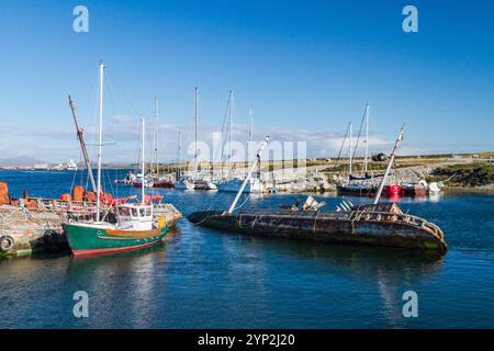 Vista dell'area appena fuori Stanley, la capitale e unica vera città (con una cattedrale) nelle Isole Falkland, Sud America Foto Stock