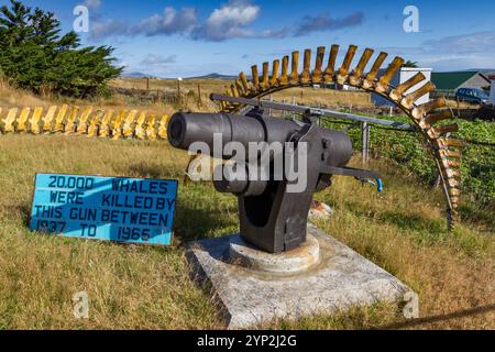 Vista del Memoriale delle balene a Stanley, la capitale e unica vera città (con una cattedrale) nelle Isole Falkland, Sud America Foto Stock