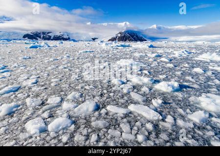 Vista del ghiaccio selvaggio e delle montagne innevate nel porto di Neko nella baia di Andvord, Antartide, regioni polari Foto Stock