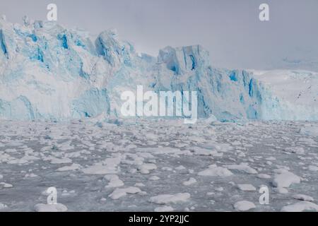 Iceberg e ghiaccio brash in kayak Cove, durante i mesi estivi australi, Brabant Island, vicino alla Penisola Antartica, Antartide, regioni polari Foto Stock
