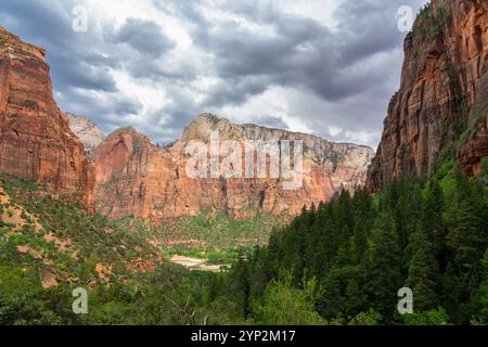 Valle di Zion vista dal sentiero Kayenta, Zion National Park, Utah, Stati Uniti d'America, Nord America Foto Stock