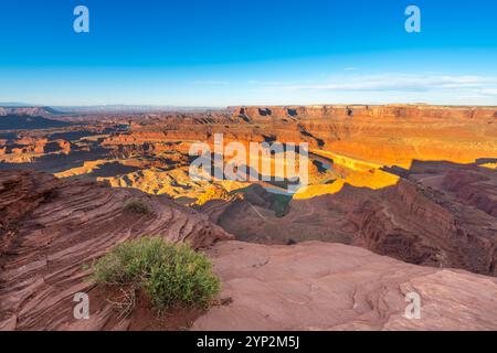 Ansa del fiume Colorado a Dead Horse Point all'alba, Dead Horse Point State Park, Utah, Stati Uniti d'America, Nord America Foto Stock