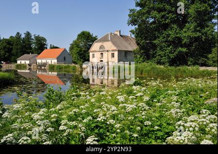 Pond of Vihula Manor Country Club, Parco Nazionale di Lahemaa, Estonia, Europa Foto Stock