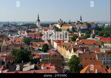 La città vecchia si vede dalla torre della chiesa di Sant'Olav., patrimonio dell'umanità dell'UNESCO, Tallinn, Estonia, Europa Foto Stock