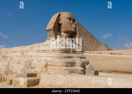 La grande Sfinge al complesso della grande Piramide, sito patrimonio dell'umanità dell'UNESCO, Giza, Egitto, Nord Africa, Africa Foto Stock
