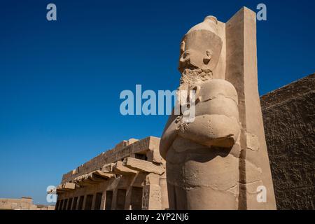 Tempio di Amon, complesso di templi di Karnak, patrimonio dell'umanità dell'UNESCO, Tebe, Egitto, Nord Africa, Africa Foto Stock