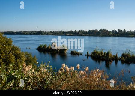 Fiume Nilo vicino a Gebel al-Silsila, Egitto, Nord Africa, Africa Foto Stock