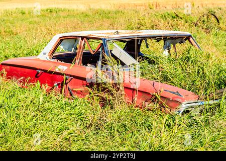 Un'auto rossa è ricoperta di erba e erbacce. La macchina è vecchia e arrugginita. L'erba è alta e verde Foto Stock