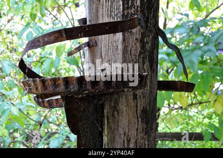 Klášter V Doksanech / Monastero di Doksany Foto Stock