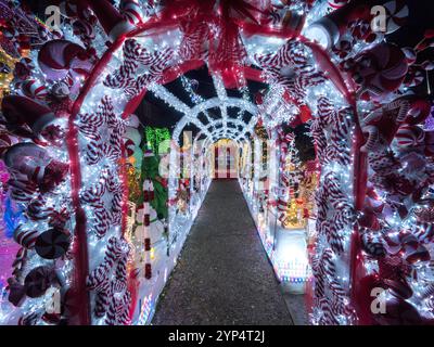 Canterbury, Kent, Regno Unito. 28 novembre 2024. La splendida casa di Natale in Colonels Lane, Boughton sotto Blean nr Canterbury, Kent. La famiglia Clark ha eretto oltre 80.000 luci come parte dell'incredibile display (in memoria del figlio prematuro della famiglia Jack, che purtroppo è morto a 2 settimane di età nel 2002). Quest'anno la famiglia sta raccogliendo fondi per il Oliver Fisher Special Care Baby Trust presso il Medway Maritime Hospital. Crediti: James Bell/Alamy Live News Foto Stock