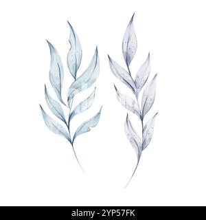 Set di acquerelli di foglie blu. Ramo vintage, elemento vegetale isolato su bianco. Illustrazione botanica. Elementi per la progettazione Foto Stock