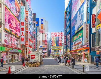 TOKYO, GIAPPONE - 11 GENNAIO 2017: La folla passa sotto i cartelli colorati di Akihabara. Lo storico quartiere dell'elettronica si è trasformato in un'area commerciale per Foto Stock