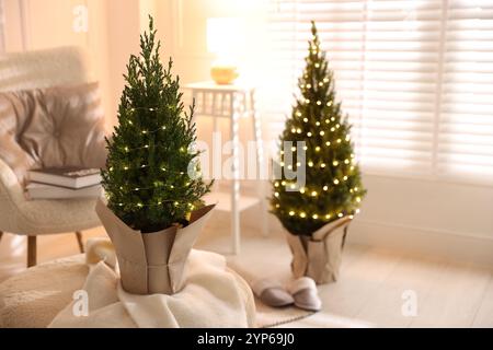 Piccoli alberi di abete rosso decorati con luci natalizie all'interno Foto Stock