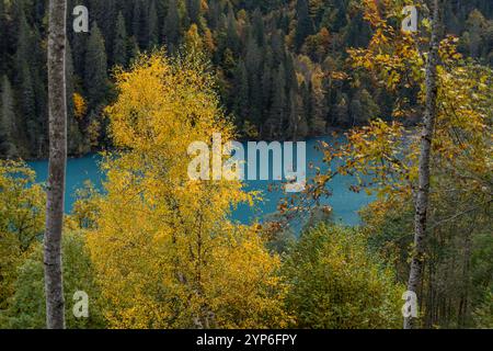 scenario autunnale d'oro. alberi gialli, arancioni e verdi sulla costa del lago torrente turchese del ghiacciaio. Estate indiana. Foto Stock
