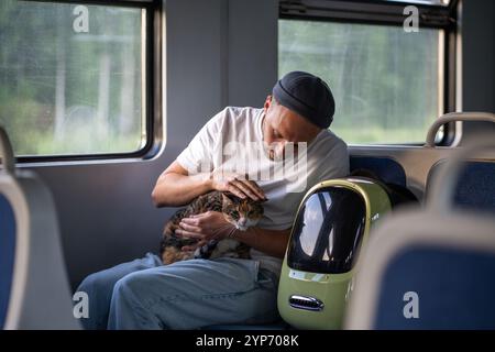 Il proprietario calmo calmo calza il gatto in grembo, tenendolo delicatamente durante il viaggio in treno. Comportamento degli animali durante il viaggio Foto Stock