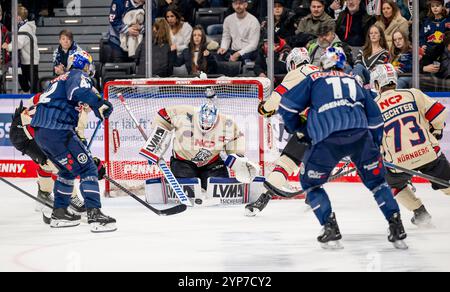 Yasin Ehliz (EHC Red Bull Muenchen, n. 42) scheitert an Niklas Trendle (Torwart, Nuernberg Ice Tigers, n. 31). GER, EHC Red Bull Muenchen vs. Nuernberg Ice Tigers, Eishockey, DEL, 21. Spieltag, Saison 2024/2025, 28.11.2024. Foto: Eibner-Pressefoto/Heike Feiner Foto Stock