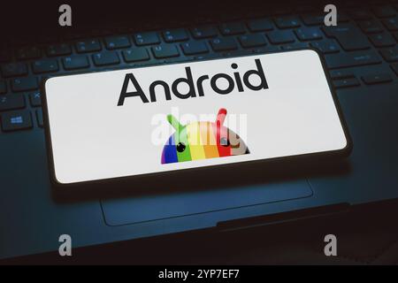 13 dicembre 2023, Brasile. In questa immagine, il logo Android viene visualizzato sullo schermo di uno smartphone Foto Stock