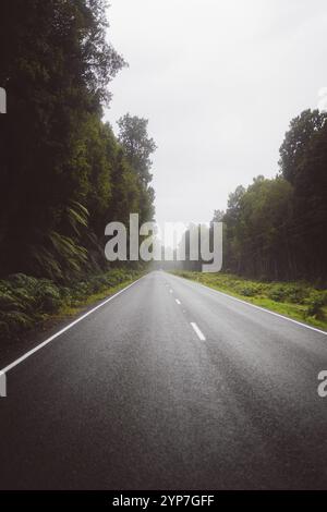 Una strada lunga e dritta attraverso una foresta nebbiosa, West Coast, nuova Zelanda, Oceania Foto Stock