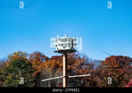 Birdhouse a High Park su Bloor Street West a Toronto, Ontario, Canada Foto Stock