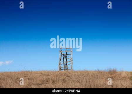 Una torre di osservazione degli uccelli in legno situata su una collina nella riserva Deliblato, in Serbia, che offre un punto panoramico per il birdwatching e che sottolinea l'impor Foto Stock