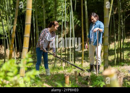 Coppia che scava colpi di bambù Foto Stock