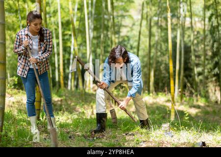 Coppia che scava colpi di bambù Foto Stock