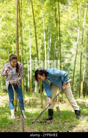 Coppia che scava colpi di bambù Foto Stock