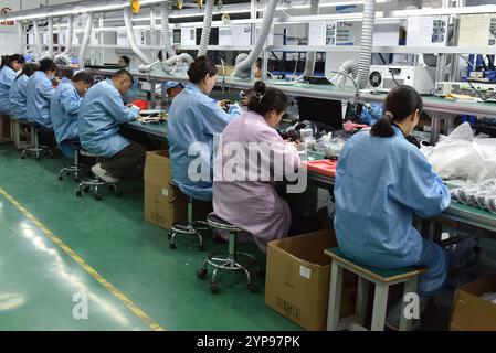 FUYANG, CINA - 29 NOVEMBRE 2024 - i dipendenti lavorano su una linea di produzione di alimentatori wireless presso il workshop di Zhonghui Chuangzhi (Fuyan Foto Stock