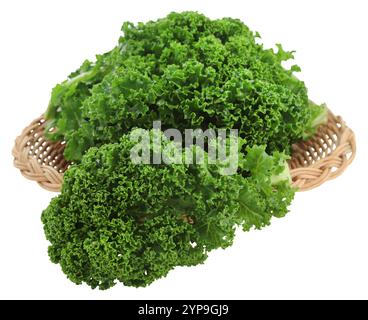 Cavolo di cavolo o di foglie fresco e isolato biologico Foto Stock