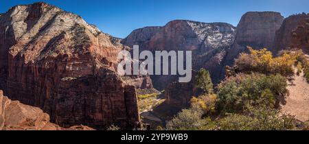 Angels Landing nel Parco Nazionale di Zion, Utah, offre splendide vedute panoramiche delle torreggianti scogliere di arenaria e della vibrante flora del deserto. Foto Stock