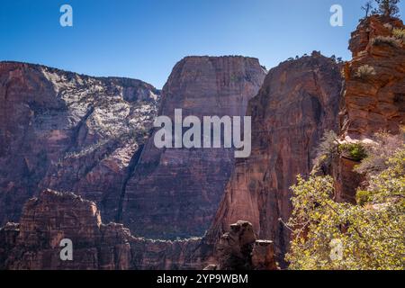 Angels Landing nel Parco Nazionale di Zion, Utah, offre splendide vedute panoramiche delle torreggianti scogliere di arenaria e della vibrante flora del deserto. Foto Stock