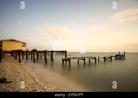 L'ora d'oro getta una calda luce sul legno danneggiato dall'uragano Foto Stock