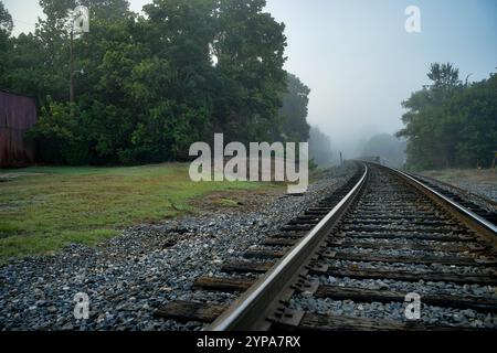 Un tracciato ferroviario curva dolcemente attraverso un paesaggio sereno. Foto Stock