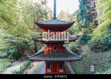 Tempio Gansen-ji, pagoda e giardino vicino a Kyoto, Giappone Foto Stock