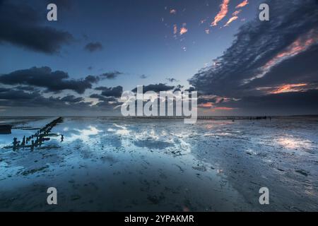 Bassa marea sulle distese di fango la mattina presto, Paesi Bassi, Frisia, Wierum Foto Stock