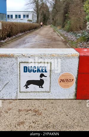 Adesivo "Duckel", dachshund con testa d'anatra su una barriera Foto Stock