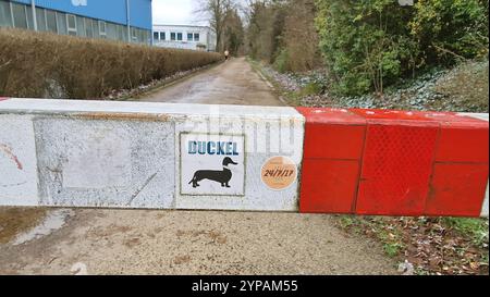 Adesivo "Duckel", dachshund con testa d'anatra su una barriera Foto Stock