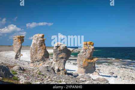 Zona di Raukar sulla costa baltica nella riserva di Langhammars, Svezia, Gotland, Faroe Foto Stock