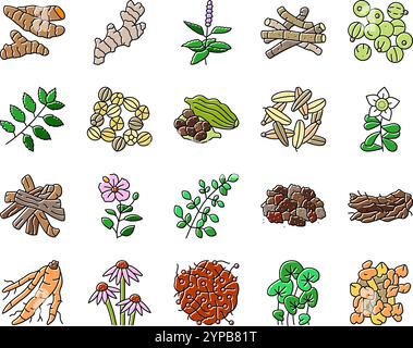 le icone di salute della medicina delle erbe ayurvediche impostano il vettore Illustrazione Vettoriale