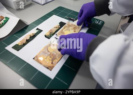 DEN HAAG - 29/11/2024, l'istituto di ricerca forense sta costruendo una banca dati di diversi tipi di inchiostro di sicurezza che può aiutare le agenzie investigative nelle loro indagini sui colpi di ATM. L'inchiostro di sicurezza si trova nei bancomat e finisce sulle banconote o sugli indumenti una volta che un bancomat viene fatto esplodere con un esplosivo. ANP LAURENS VAN PUTTEN netherlands Out - belgio Out Foto Stock