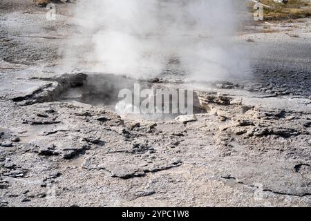 Una sorgente attiva di geyser con uno scarico intermittente di acqua espulsa in modo turbolento e accompagnata da vapore, il parco nazionale di Yellowstone, USA Foto Stock