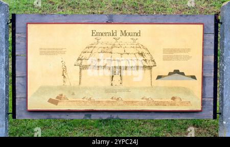 Emerald Mound, sito storico della cultura di Plaquemine vicino a Natchez, Mississippi, Stati Uniti Foto Stock